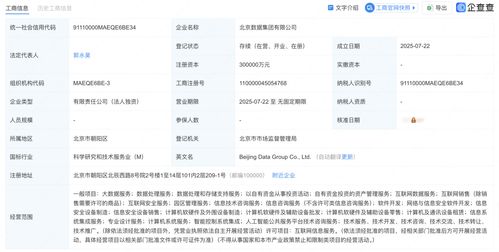 北京數(shù)據(jù)集團正式揭牌成立，為數(shù)據(jù)處理服務(wù)注入新動力